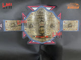 Triple H 30 Years Revolution Big Gold Championship Belt Wrestling Belt 2mm Brass - LMI Championship Belts