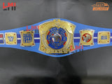 John Cena Farewell Tour 2025 Torronto Spinner Championship Belt Wrestling Brass 