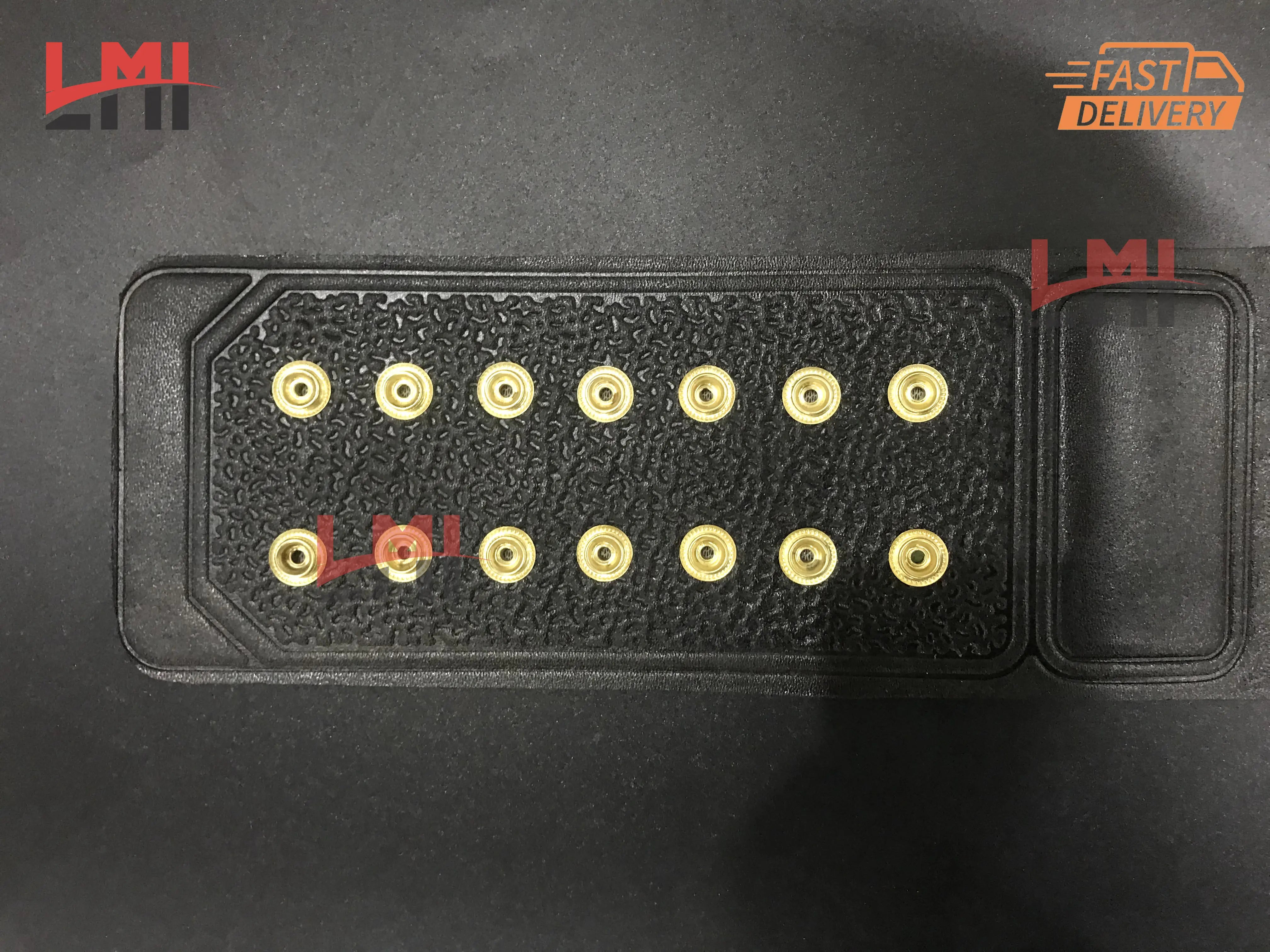 WWF Big Eagle Championship Belt Wrestling Replica Belt 2mm - LMI Championship Belts