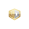 WWE Championship Belts